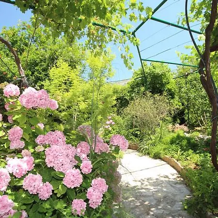 East West Daire Dubrovnik